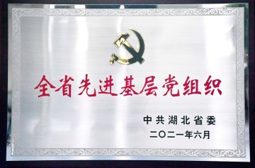 2021 全省基省黨組織</br> -湖北省委